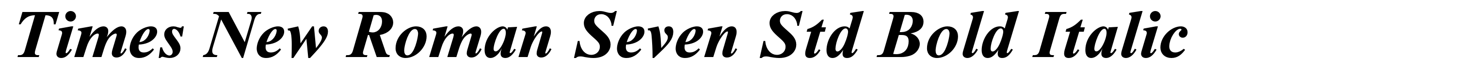 Times New Roman Seven Std Bold Italic